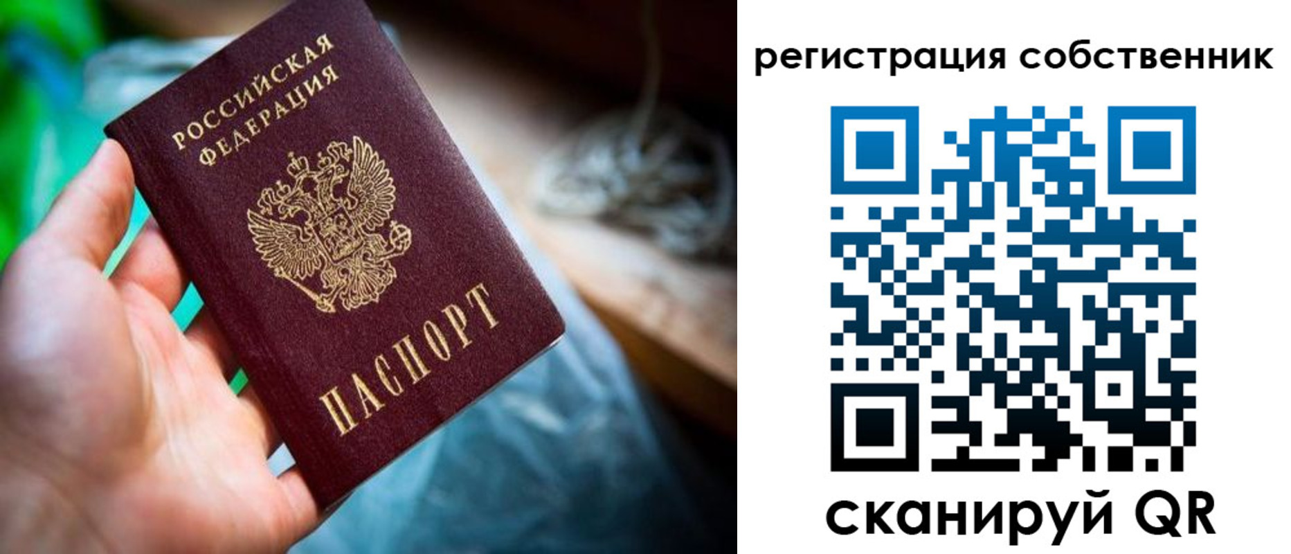 прописка гарантия в Емве